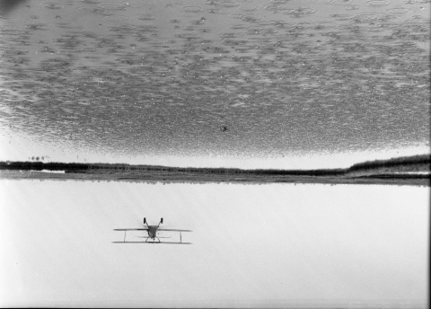 A biplane flying low over an irrigated field.