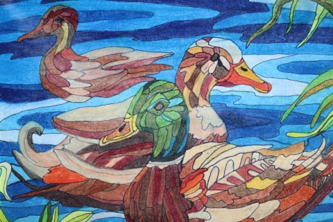 A stylistic artwork of three mallards by student artist in colored pencil
