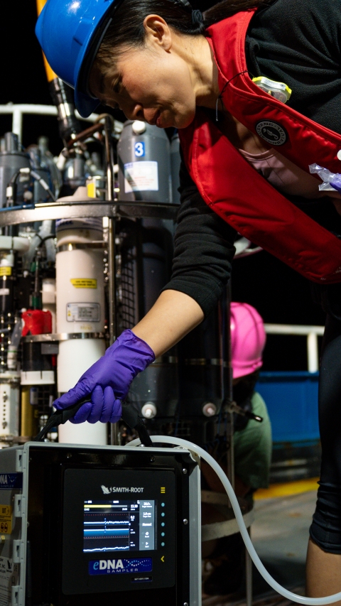 An Asian woman in the foreground is processing water samples. The water collection rosette is in the background. It is night time.