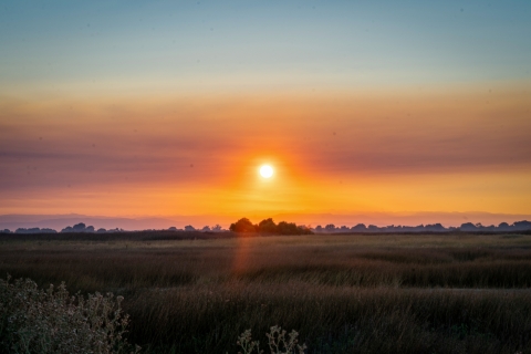Sunrise over a an open grassland