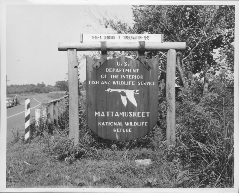 Sign at Mattamuskeet National Wildlife Refuge. Sign is shaped like a shield, and is suspended from a frame that consists of two vertical wooden logs surmounted by a horizontal wooden log. The sign reads "U.S. Department of the Interior Fish and Wildlife Service Mattamuskeet National Wildlife Refuge". Addendum to the top reads "1849 - A Century of Conservation - 1949"