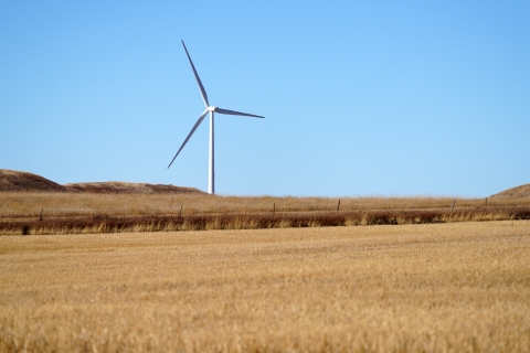 Wind turbine in a field
