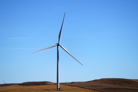 Wind turbine in a field