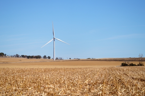 Wind turbine in a field