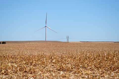 A wind turbine in a field