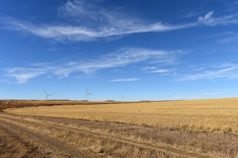 Wind turbines in a field