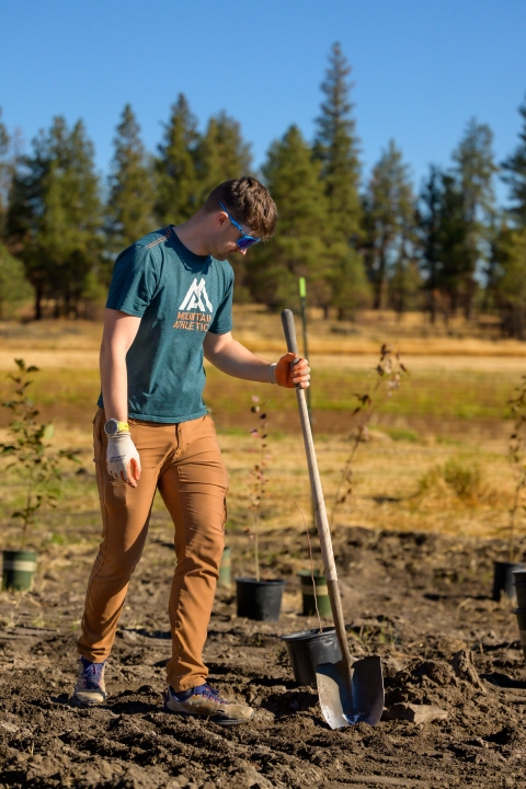 A volunteer uses a shovel to plant trees as part of a restoration project