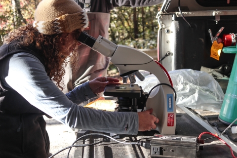 Woman working a microscope set on the tailgate of a pickup truck