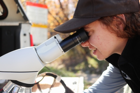 Woman working a microscope