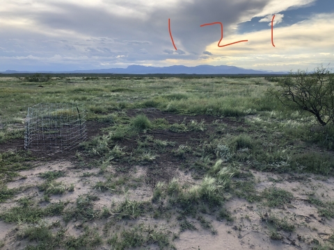 Image of a compost plot on a grassland