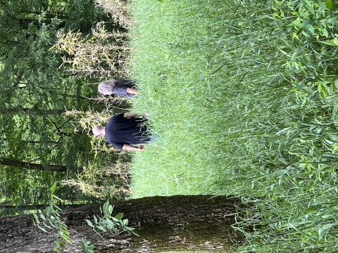 2 individuals standing in a field of rivercane surrounded by trees