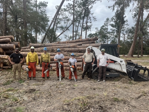 A work crew of 7 people wearing helmets and carrying chain saws stand before a large pile of sawed trees.