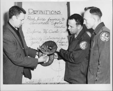 Three men, standing in front of a flip chart, examining part of the skull of a Dall Sheep, holding it by the horns. The man on the left is indicating something on the skull's horns with a pen or pencil. This man wears a sport coat. The two men on the right are wearing coats that feature the patch of the U.S. Bureau of Sport Fisheries and Wildlife on the shoulder. The writing on the paper flip chart behind them reads (in part) "DEFINITIONS - Redefine fawns to eliminate spots"