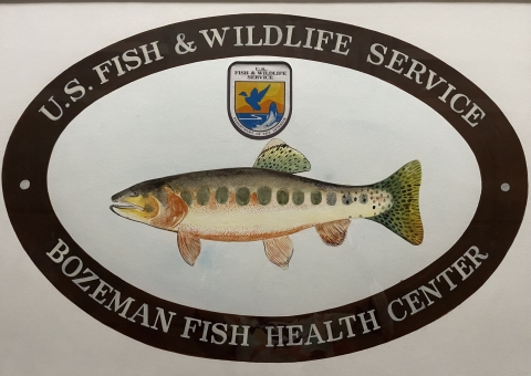 Photo of Cutthroat Trout with U.S. Fish & Wildlife Service emblem centered above it. U.S. Fish & Wildlife Service around top and Bozeman Fish Health Center around bottom
