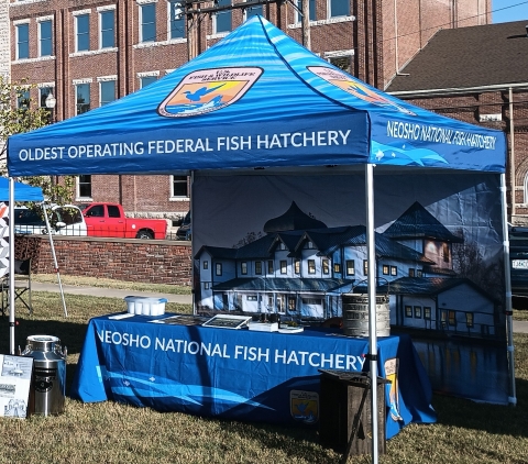 outdoor display tent with matching table cloth for the hatchery