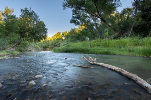 A river with lots of grasses and trees along the shore