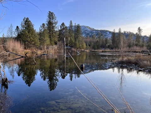 A lake with trees on the shoreline