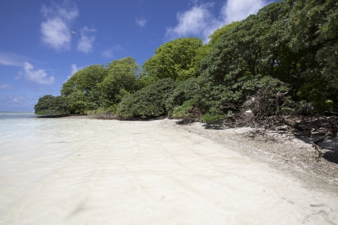 Beach on Sand Island, Palmyra Atoll