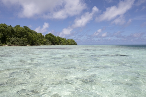 Lagoon flats at Palmyra Atoll