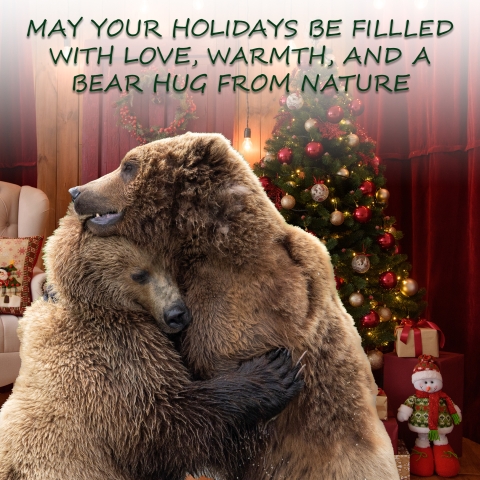 A decorative holiday card with two bears hugging and text that says “May your holidays be filled with love, warmth, and bear hugs from nature.”