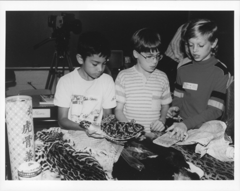 Three young boys (elementary school age) examining items from the U.S. Fish and Wildlife Service's "Suitcase for survival" education kit, including a stuffed/mounted/taxidermied Turtle (with the boy on the left is holding), as well as various animal pelts/skins, and medicinal items containing illegal wildlife products. In the background behind them is a video camera on a tri-pod. Clothes are early 1990s vintage.