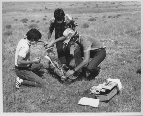 Three men holding a small, rectangular cage containing a Black-Footed Ferret; two of the men are kneeling on either side of the cage (which is being held diagonally), with the man on the left holding a syringe (containing the anethetic) in his freehand. A third man standings behind and slightly to the side of the small cage, holding it's upper end. In the foreground is an opened tool box, holding their field equipment. They are in a prairie environment.
