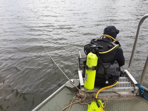 SCUBA diver waiting to go into the river