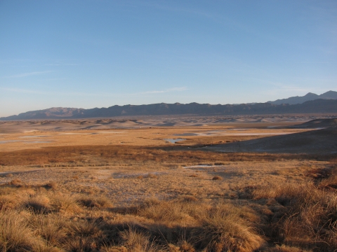A wetland with mountains in the distance
