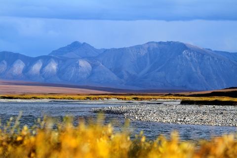 golden foliage frames a river flowing across tundra with mountains in the background