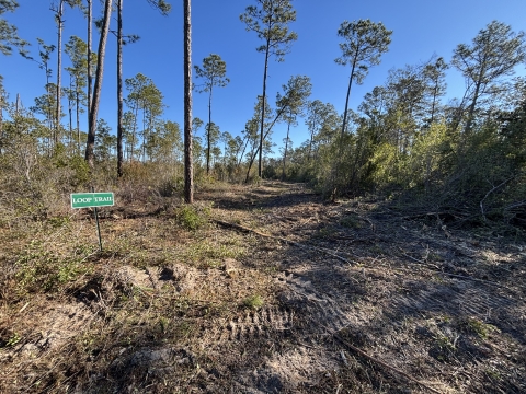 Some restoration work with a sign that indicates an old trail.