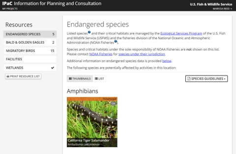 This figure shows an example of the Endangered species page in the Resources list generated by IPaC for a project. You can access species guidelines and other species information from this page. The red oval indicates the location where you can access any available species guidelines.