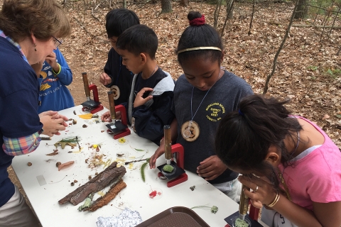 A diverse class of children look through microscopes on a table set up outside in a forest