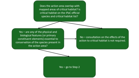 This figures shows a flow chart depicting the process of determining if section 7 consultation is required due to effects to critical habitat.