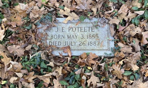 A tombstone surrounded by leaves.
