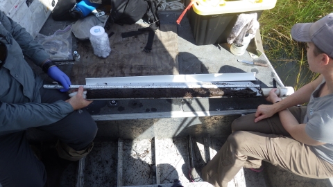 Scientists sit looking at a soil core by a grassy area