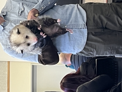 Man holding an opossum.