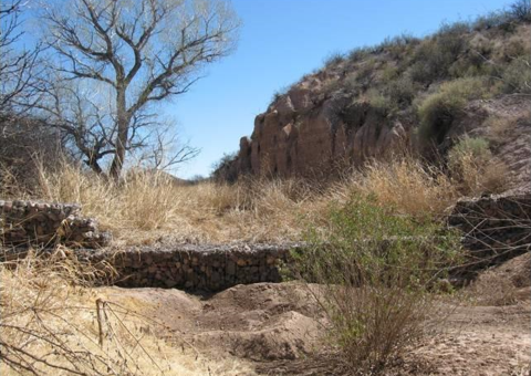 A rock structure surrounded by grasses and shrubs