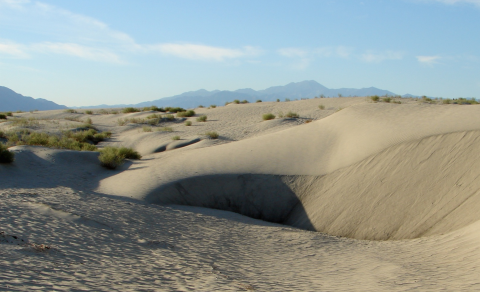 Sand dunes in a valley with shrubs in some areas