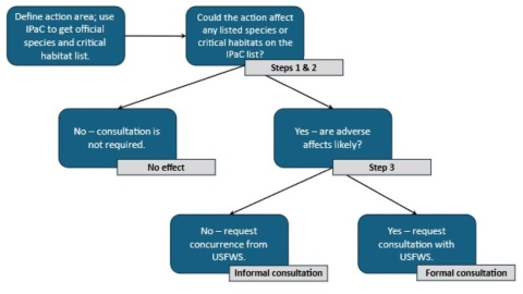 This figure shows a flow chart illustrating the section 7 consultation process.