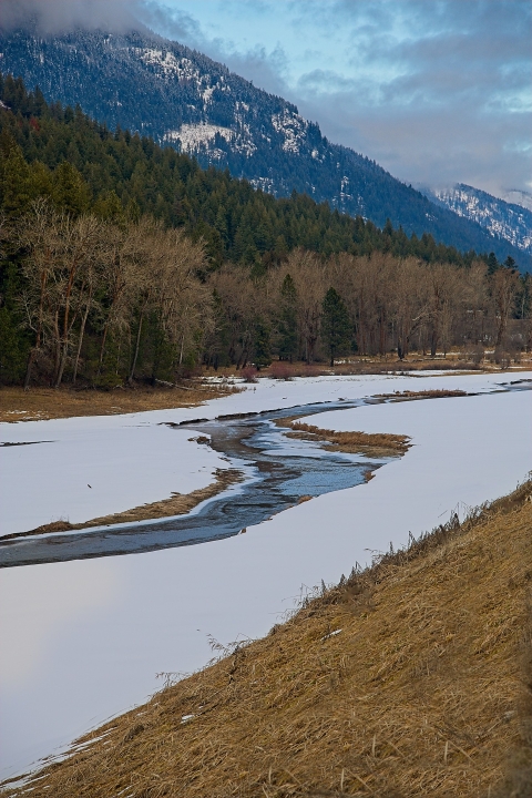 A partially frozen Myrtle Creek