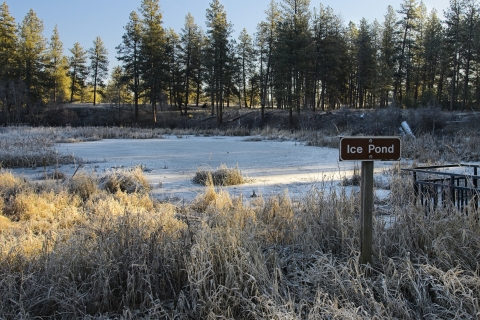 The appropriately named Ice Pond is frozen over and dusted with snow