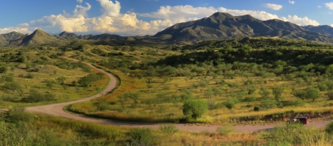 A winding path leading to mountains in the background
