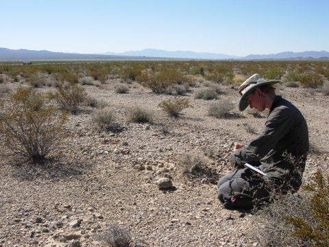 A person takes notes in the desert sitting by a tortoise
