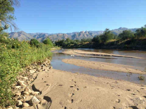 shore of a river with mountains in the background