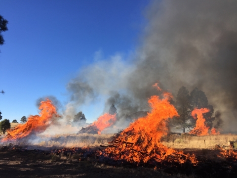 Several piles are burning in a field
