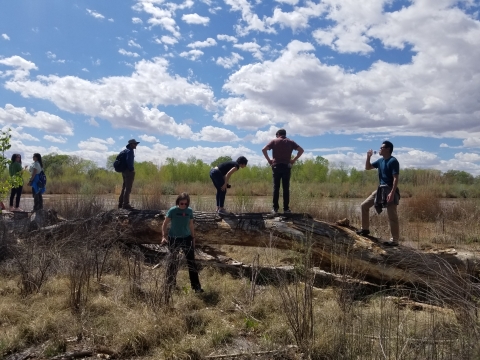 Individuals stand on a horizontal tree trunk in a field