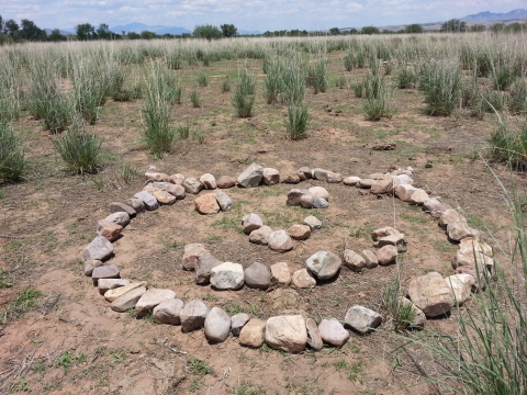 Rocks arranged in the shape of a smiley face in a grassland