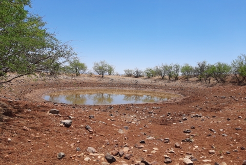 A shallow pool of water in a desert with some small shrubs around