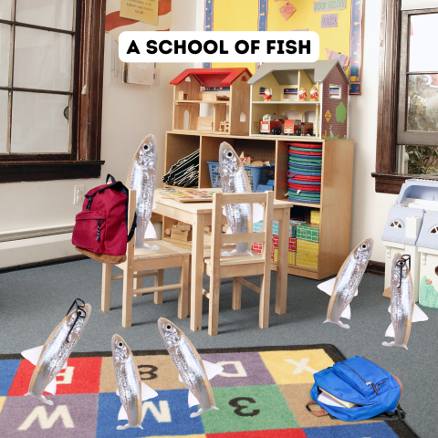 Multiple river shiners sitting in a classroom setting while wearing backpacks and glasses 