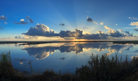 A coastal wetland with flat water reflecting a rising sun